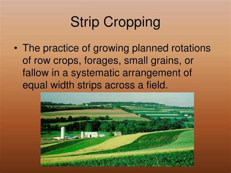 strip cropping class 10.